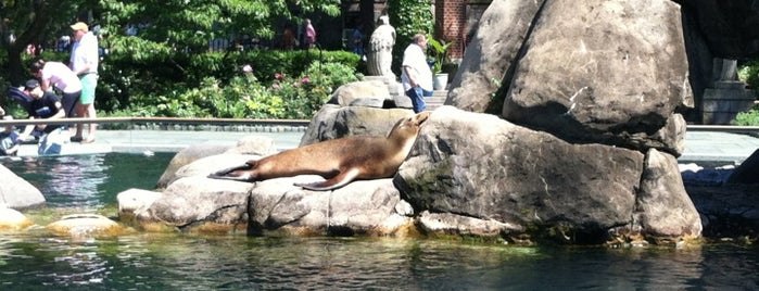 Central Park Zoo is one of Favorite Great Outdoors.