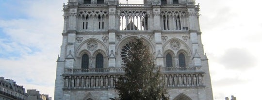 Cattedrale di Notre-Dame is one of  Paris Sightseeing .