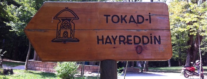 Hayreddin-i Tokadi-Sürmeli Muhiddin-Ahmed Bolevi-Yekta Palazoğlu Türbesi is one of Bolu.