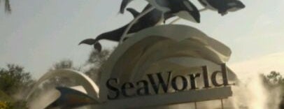 SeaWorld Orlando Parking Lot is one of สถานที่ที่ Lizzie ถูกใจ.