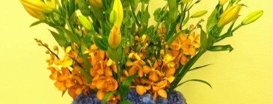 dr delphinium designs & events florist is one of * Gr8 Service Companies In Dallas (Misc.).