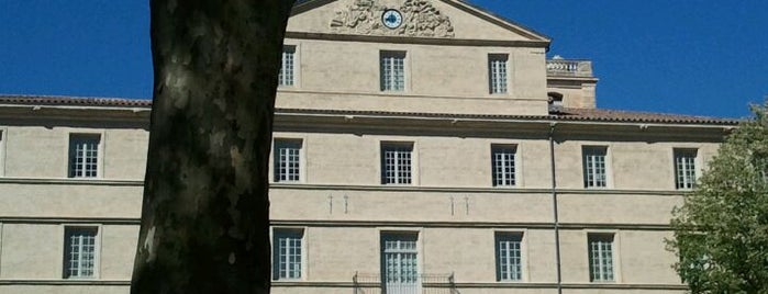 Musée Fabre is one of Montpellier.