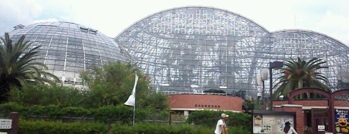 Yumenoshima Tropical Greenhouse Dome is one of 東京都立の公園・庭園.