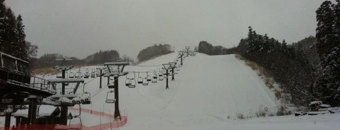 白馬みねかたスキー場 is one of Ski area.