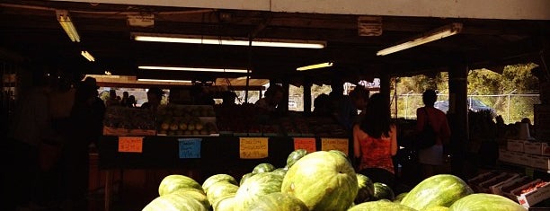 Bearss Groves Farmer's Market is one of สถานที่ที่ Robert ถูกใจ.