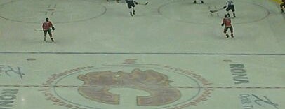 Scotiabank Saddledome is one of Hockey Stadiums.