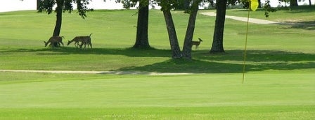Arrowhead State Park Golf Course is one of Hit the Links at OK State Parks.