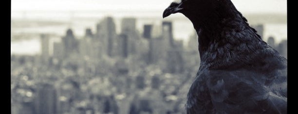 Empire State Building is one of Photographing New York City.