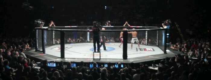 Mandalay Bay Event Center - UFC 137 is one of Guide to Las Vegas's best spots.
