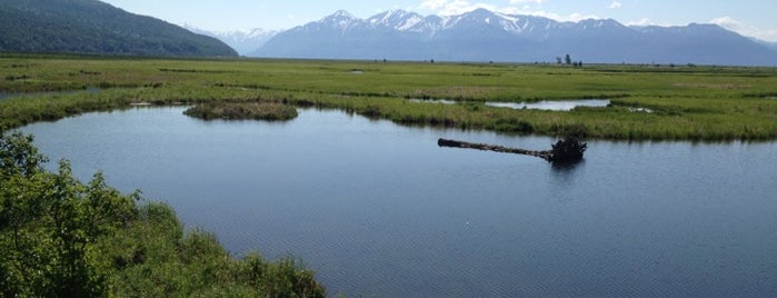 Potter Marsh is one of Best Spots in Anchorage.