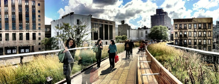 High Line is one of Best Things to do in New York on a Sunny Day.