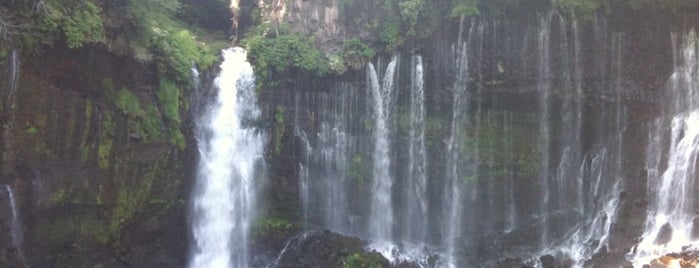 白糸の滝 is one of World Heritage.