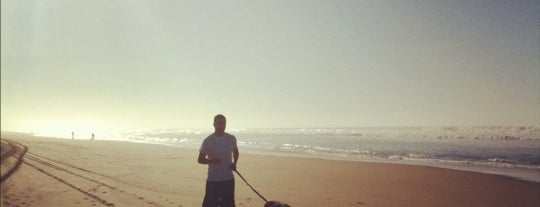 Horsfall Beach is one of Posti che sono piaciuti a Andy.