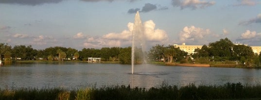 Big Lake at City Park is one of New Orleans to see.