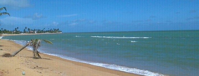 Praia de Tabuba is one of Praias de Alagoas.