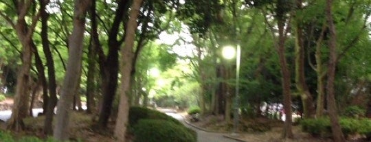 Hattori Ryokuchi Park is one of 日本の歴史公園100選 西日本.