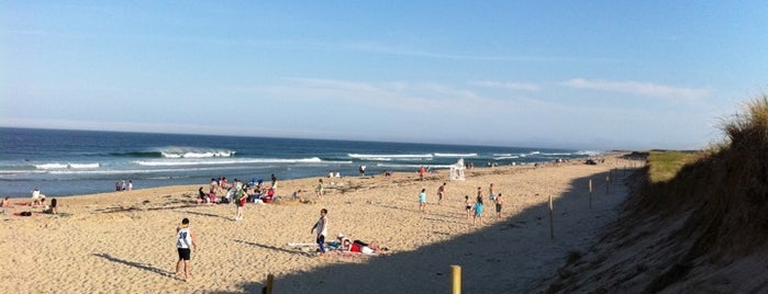 Nauset Beach is one of what to do on outer cape cod.