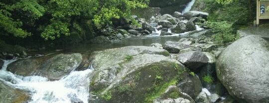 Yakushima