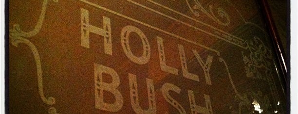 The Holly Bush is one of pubs with a fireplace (London).