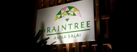 The Raintree is one of Best Coffee places / Dining Spots in Chennai.