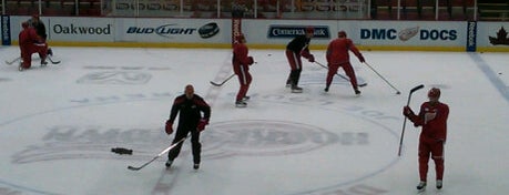 Joe Louis Arena is one of Hockey Stadiums.