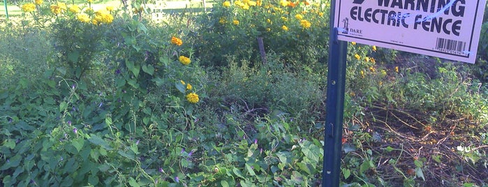 Old Frog Pond Farm is one of Farms and markets.