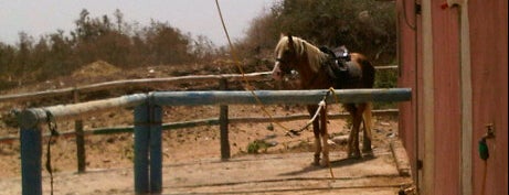 Ranch de Diabat is one of 36 hours in...Essaouira.