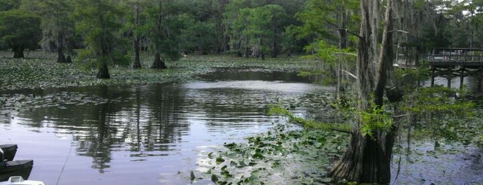 Caddo Lake State Park is one of The Daytripper's Jefferson.