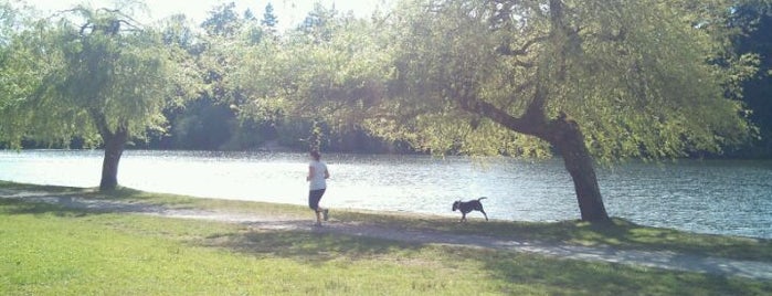 Best places for dog walkies #yyj