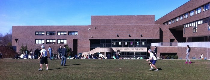 Staller Center For The Arts is one of KENNYS FUN PLACES.