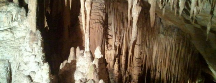 Cuevas del Drach is one of Must Visit Places.