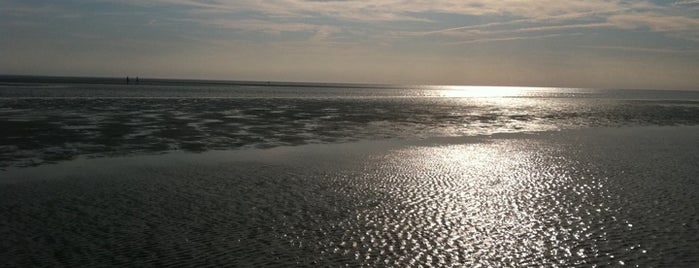 First Encounter Beach is one of what to do on outer cape cod.