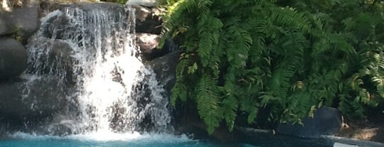 El San Juan Hotel Pool is one of Things To Do In Puerto Rico.