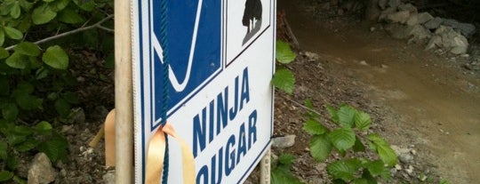 Ninja Cougar is one of MUST DO: Whistler Mountain Bike Park.