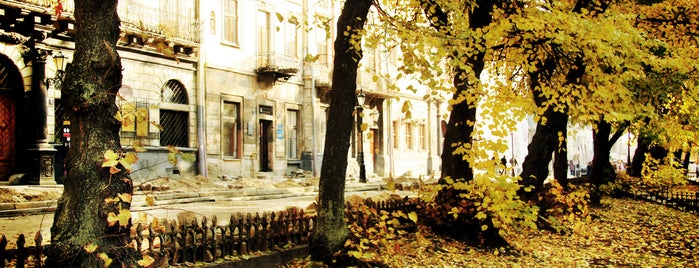 Rynok Meydanı is one of Timotei nature places Lviv.