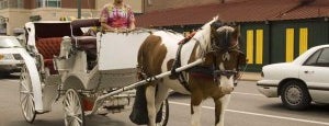 Downtown Carriage Ride is one of Nashville, so much to do #visitUS.