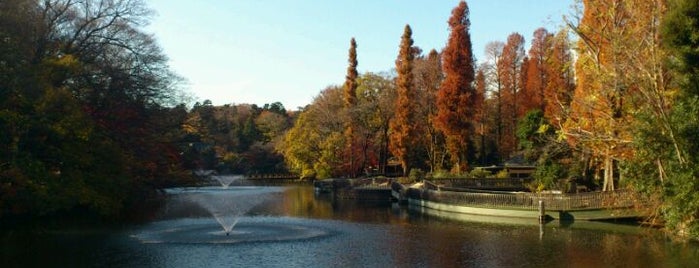 Inokashira Park is one of 諸星大二郎「暗黒神話」を歩く.