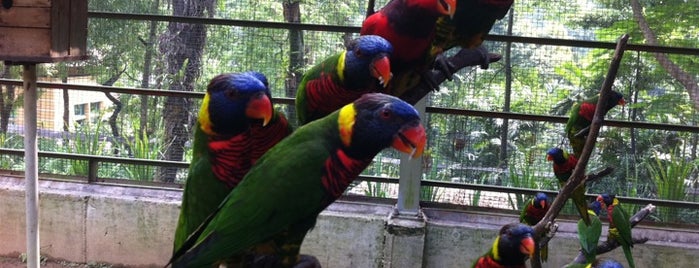 Kuala Lumpur Bird Park is one of Куалу Лумпур.