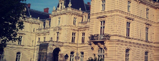Potocki Palace is one of файне місто Lemberg.