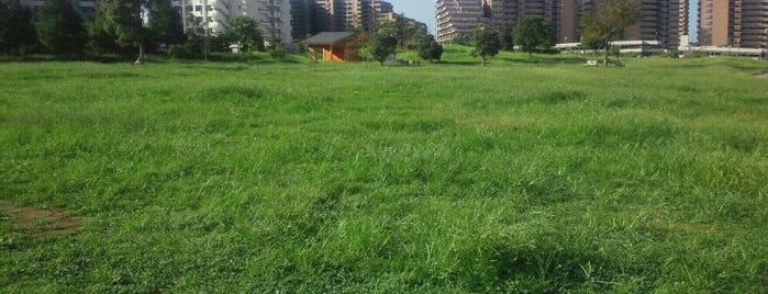 明海の丘公園 is one of 新浦安周辺の公園.