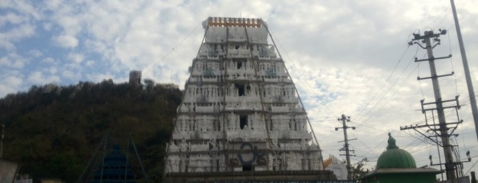 Sri Kalahasti Siva Temple is one of Best of Andhra Pradesh.