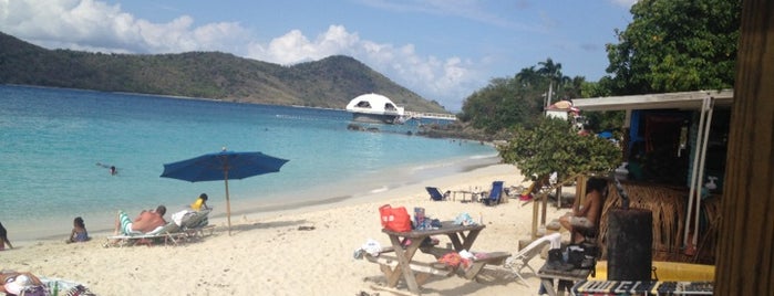 Coki Beach is one of US Virgin Islands ⛵️.