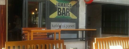 Jamaica is one of NS Pet friendly kafane.