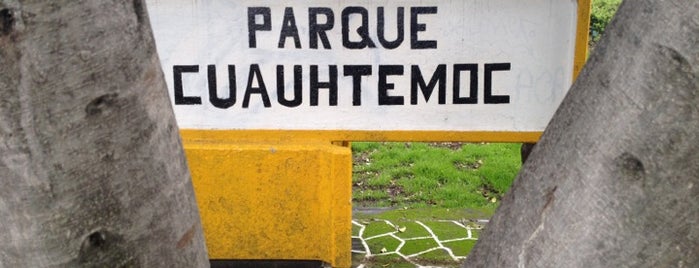 Parque Cuauhtémoc is one of สถานที่ที่ Rodrigo ถูกใจ.