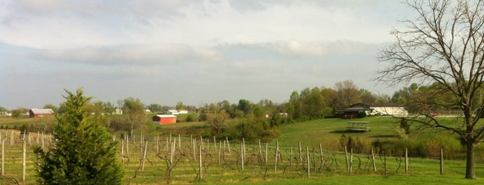 Madison Vineyards Estate Winery is one of Indiana Wine Trail.