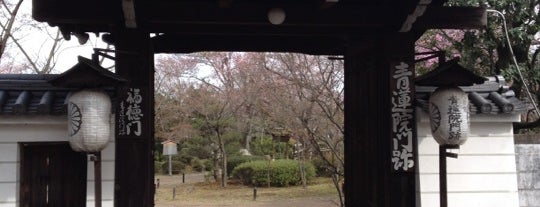青蓮院門跡 is one of Kyoto_Sanpo.