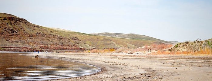 The Dunes on Snake River is one of Outdoor Recreation Spots in Pullman/Moscow Area.