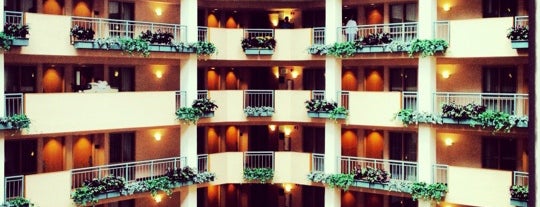 Embassy Suites by Hilton is one of Locais curtidos por st.