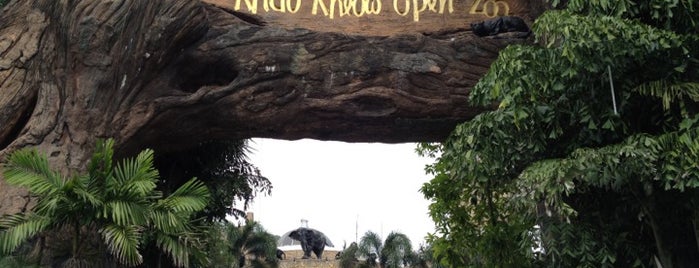 Khao Kheow Open Zoo is one of Tempat yang Disukai KaMKiTtYGiRl.