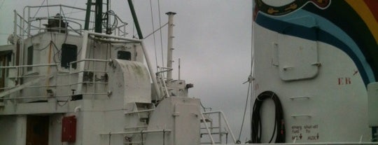 Greenpeace Sirius is one of NDSM Amsterdam-Noord ❌❌❌.